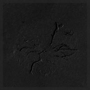 Raz Mesinai - The Art Of Darkness- Music For Film Vol.1 (2021) [Hi-Res]