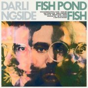 Darlingside - Fish Pond Fish (2020) [Hi-Res]