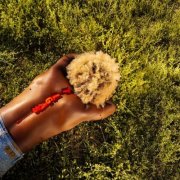Reggie Becton - The Last Great American Summer (2025) [Hi-Res]