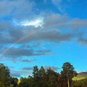 Mike Posner - Crazy Rainbow (2026) Hi Res