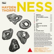 Hayden Thorpe - Ness (2024) [Hi-Res]