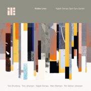 Vigleik Storaas - Hidden Lines (2025) Hi-Res
