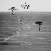 Babylon North - A Large Tree (2022) Hi Res