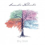 Dry Stick - Annualis Naturalis (2019)