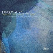 Steve Million - What I Meant to Say (2021)