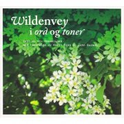 Liv Dommersnes, Karin Krog, John Surman - Wildenvey I Ord Og Toner