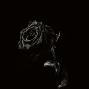 Viclan - Healing Wounds (2026)