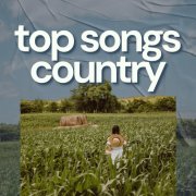 VA - top songs country (2024)