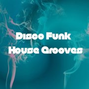 VA - Disco Funk House Grooves (2026)