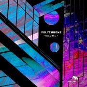 VA - Polychrome Vol.7 (2024)