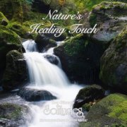 Dan Gibson's Solitudes - Nature's Healing Touch (2025)