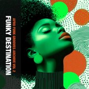 Funky Destination - Afro Funk Grooves Archive Vol 2 (2026)