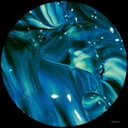 VA - XRVA19 (2025)