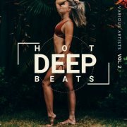 VA - Hot Deep Beats Vol. 2 (2020) flac