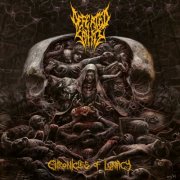 Defeated Sanity - Chronicles of Lunacy (2024) Hi-Res