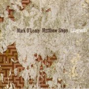 Mark O'Leary, Matthew Shipp - Labyrinth (2009)