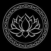 True Home - Black Lotus (2023) Hi-Res