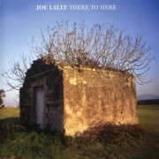 Joe Lally - There to Here (2006)