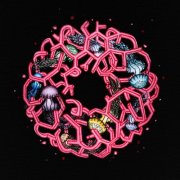 Liquid Pennies - Fore (2025) [Hi-Res]