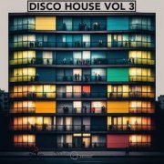 VA - Disco House Vol. 3 (2023)