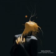 Waldskin - Clarity Before the Crash (2021)