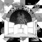 Fake Palms - Pure Mind (2017) Hi-Res