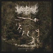 Waldgeflüster - Knochengesänge II (2025) Hi-Res