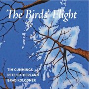 Timothy Cummings, Brad Kolodner & Pete Sutherland - The Birds' Flight (2021)