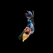 Kagu - Tune (2025)