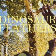 Dinosaur Feathers - Whistle Tips (2012)