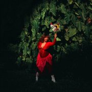 Anabel Rose - How Do The Flowers Bloom? (2026) Hi Res