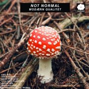 Not Normal, Emil Bø - Modærn Qualitet (2025) [Hi-Res]
