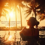 VA - Relaxing & Sophisticated Sweet Chilly Environment Lounge Playlist (2024)