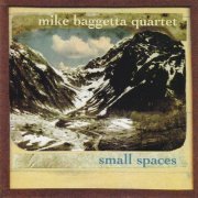 Mike Baggetta Quartet - Small Spaces (2008)