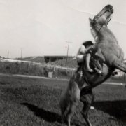 DeLoyd Elze - A Horse Named Proletariat (Extended) (2025) [Hi-Res]