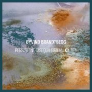 Øyvind Brandtsegg - Persistent Disequilibrium (2022)