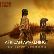 Roger Bashew, Pierre Terblanche - African Awakening 2 - Exotic Cinematic Soundscapes (2024) Hi-Res