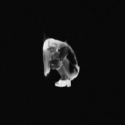 Chandie - Post Trauma (2026)