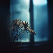 ADILR - This Little Life (2025)