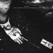 Mclusky - i sure am getting sick of this bowling alley (2026) Hi Res