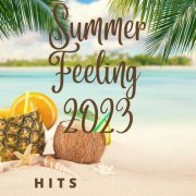 VA - Summer Feeling 2023 Hits (2023)