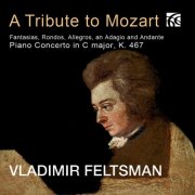 Vladimir Feltsman - A Tribute to Mozart: Fantasias, Rondos, Allegros, an Adagio and Andante / Piano Concerto in C Major, K. 467 (2024) [Hi-Res]