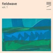 VA - Fieldwave, Vol. 1 (2020)