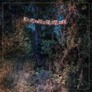 Eyelids - The Accidental Falls (2020) [Hi-Res]