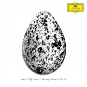 Snorri Hallgrimsson - The Importance of Birds (2025) [Hi-Res]