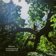 bladverk - Monumental Thrill, Monumental Chill (2026) [Hi-Res]