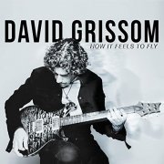 David Grissom - How It Feels To Fly (2014)