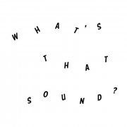 Daniel Woolhouse - What's That Sound? (2016)