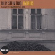Billy Stein Trio - Hybrids (2006)