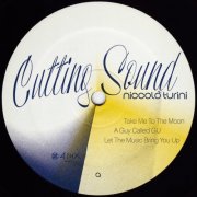 Niccolò Turini, Gerd - Cutting Sound (2026)